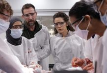 The Pitt Season 3 Renewal: HBO Max Orders More Dr. Robby & Co. The Pitt Season 3 Renewal